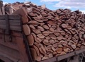 Фотография: Продам дрова сухие (сосна)