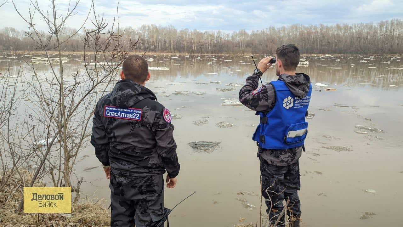 Добровольцы отряда «СпасАлтай22» ведут дежурство по берегу реки | Последние  новости Бийска и Алтайского края