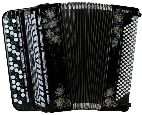 В Бийске задержан похититель баяна