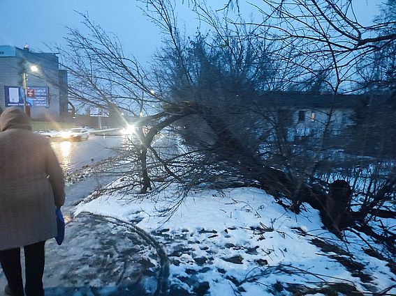 Последствия урагана 19 ноября до сих пор не устранены