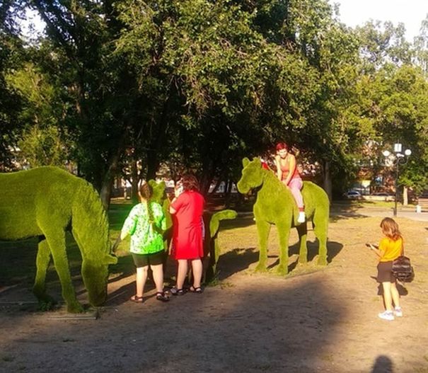 Как остановить вандалов в городских парках?