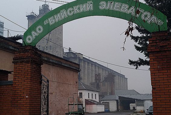 Развитие экспорта зерна: Бийский элеватор