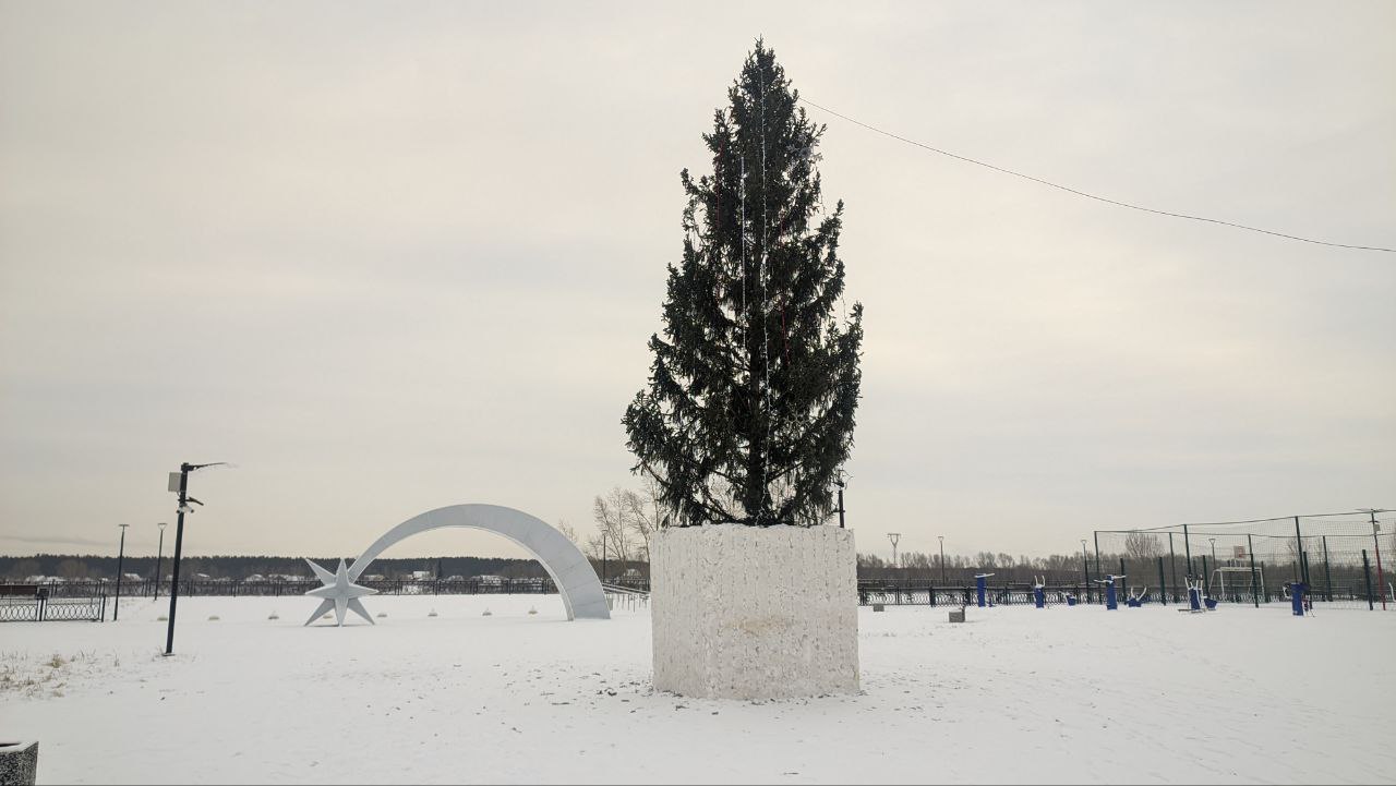 Где в Бийске установят елки | Последние новости Бийска и Алтайского края