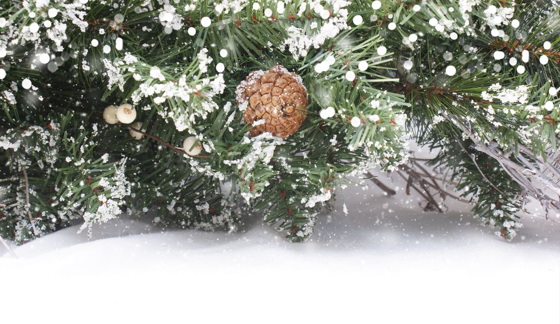 В Алтайском крае усилены меры по охране лесов в преддверии Нового года