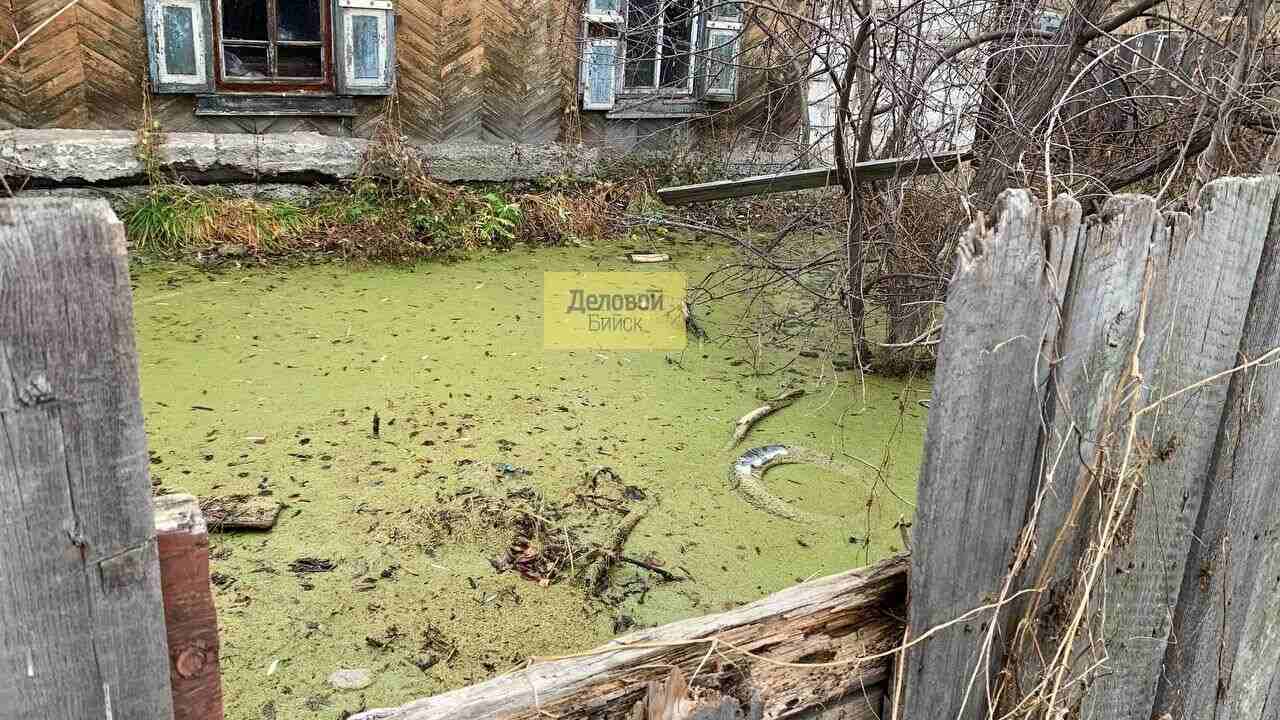 Стали известны сроки окончания работ по устройству водоотведения за «Лентой»