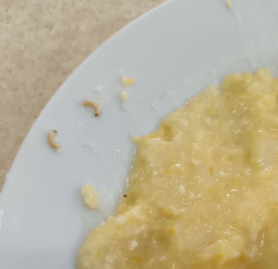 Прокуратура проверит кадетскую школу Бийска после сообщений о личинках в еде