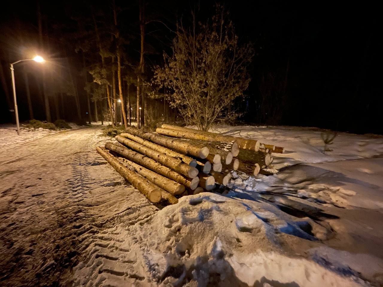 Лес вывезен, но осадок остался: Жители Бийска направили жалобу в Следственный комитет