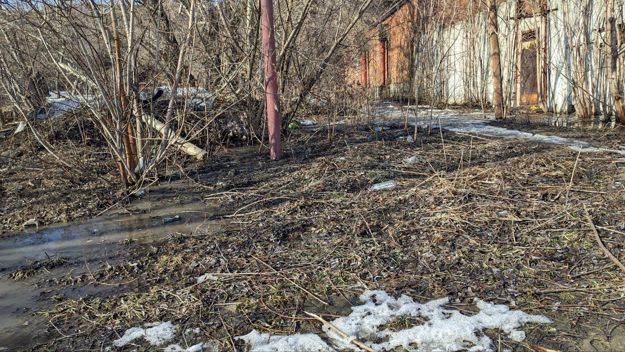 Озеро Ковалевское: что-то изменилось?