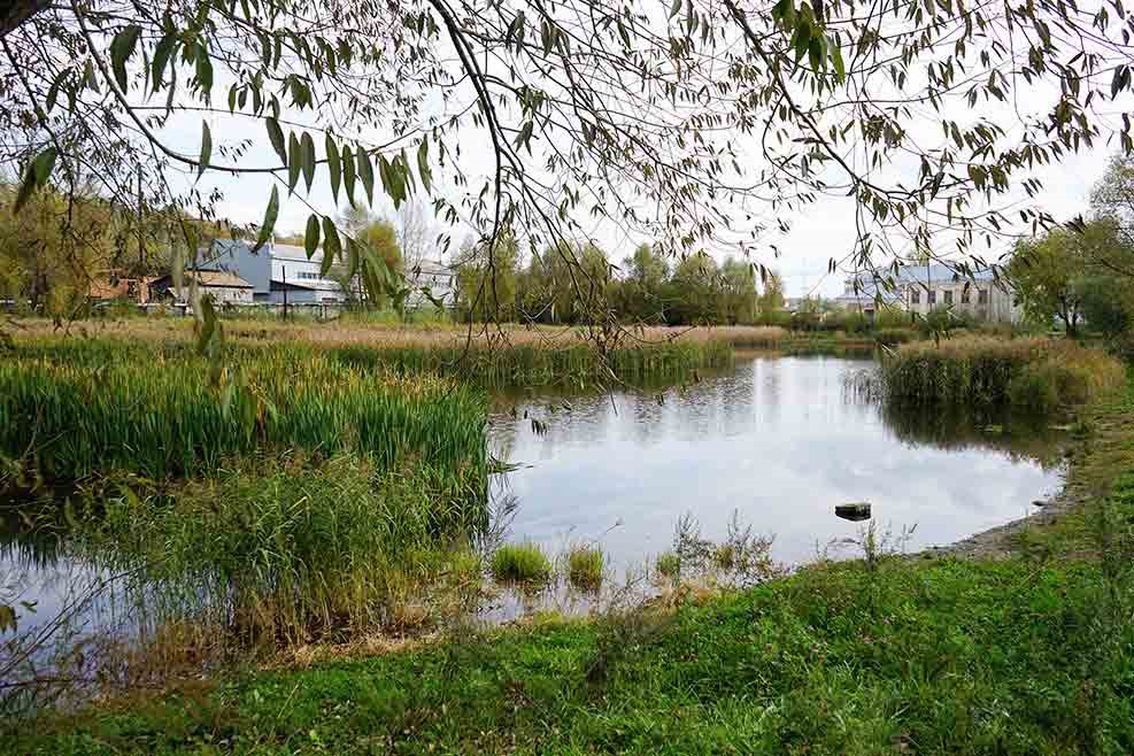На пути спасения озера Ковалевского