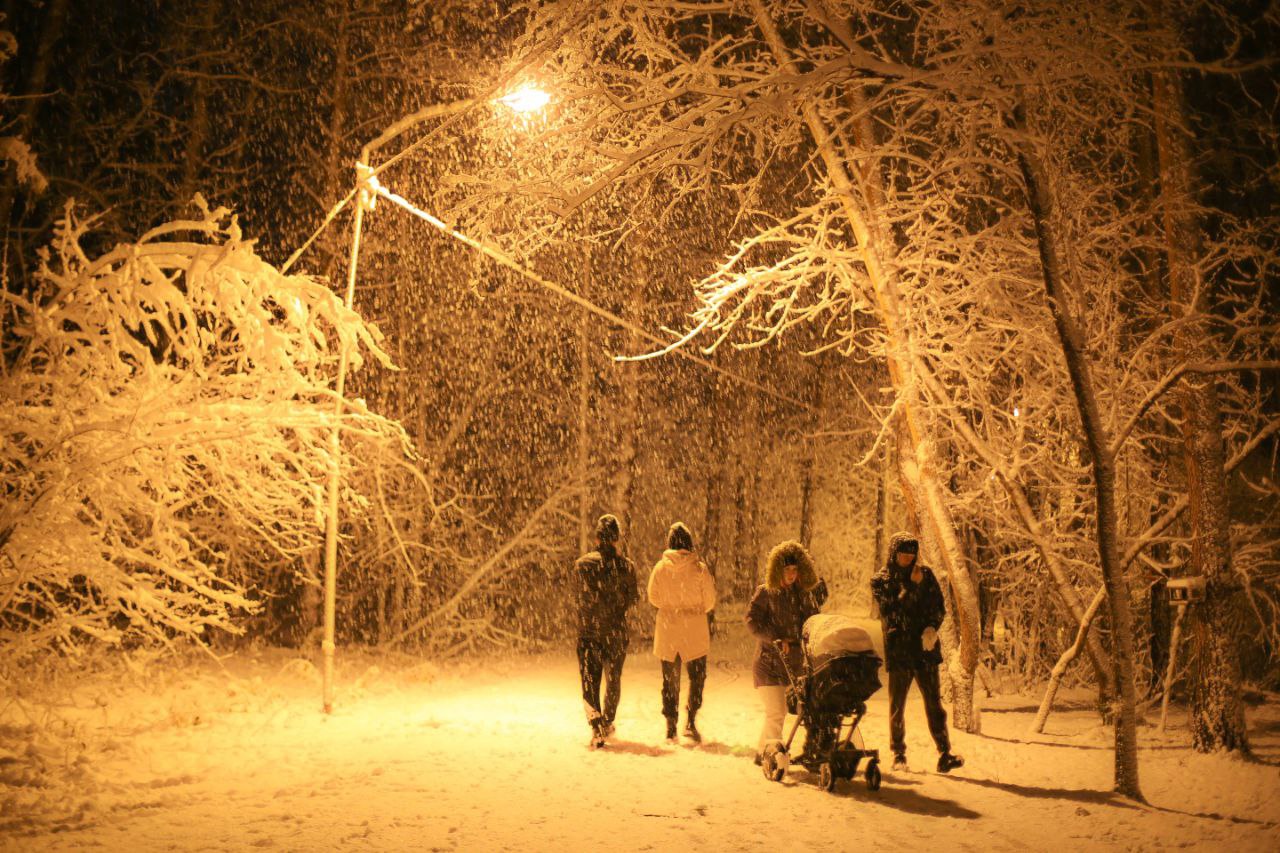 На Алтайский край обрушится трехдневный снежный шторм с метелью и гололедом