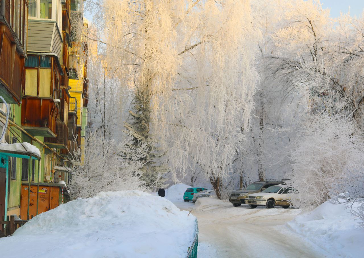 В Алтайском крае будет снежный январь: прогноз на оставшуюся часть месяца