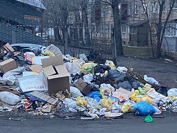 Проблема с мусором на контейнерных площадках доходит порой до абсурда 