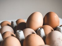 ФАС: Производители снизят цены на яйца в течение месяца — полутора