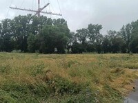 Трава по пояс: жители Нагорного поселка уже не верят, что на месте пустыря появится школа № 31