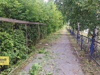 Сотрудники коммунальной службы убирают траву на спуске к "Ленте"