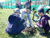 250 кедров к празднику