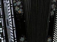 В Бийске задержан похититель баяна