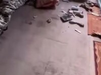 Медвежий беспредел на Алтае продолжается