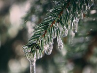 Мокрый снег, дождь и заморозки до -7: погода на Алтае за неделю