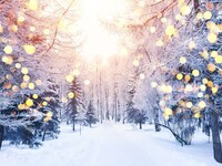 Администрация Бийска закупает светодиодные снежинки и гирлянды для украшения городских улиц