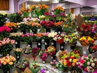 В Алтайском крае в импортных цветах из Китая обнаружены опасные вредители