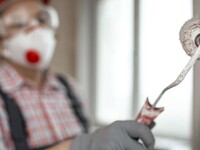 В Алтайском крае взлетели зарплаты маляров и водителей: аналитики назвали самые прибыльные профессии