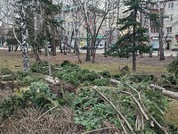 Сибирь приходит в себя после урагана 19 ноября