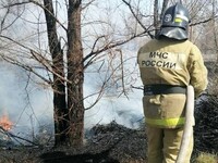Пожароопасный сезон в Алтайском крае: ограничения вводятся с 9 апреля