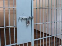 Алтайского студента задержали за посылку с медикаментами для террористов
