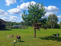 В сафари-парке под Троицким нашли нарушения