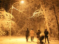 На Алтайский край обрушится трехдневный снежный шторм с метелью и гололедом