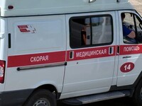 В Бийске семилетний ребёнок попал в больницу после того, как съел неизвестную ягоду
