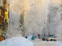 В Алтайском крае будет снежный январь: прогноз на оставшуюся часть месяца