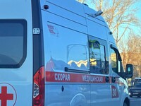 В Бийске двухлетний ребенок отравился таблеткой от тараканов, приняв ее за витаминку