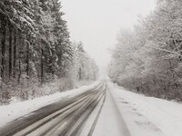 Зима не сдается: штормовое предупреждение на Алтае продлено до 13 марта