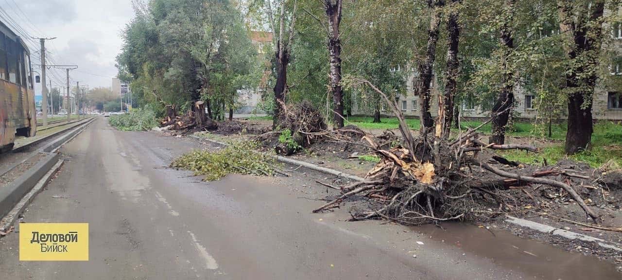 Бийчане переживают из-за затянувшегося ремонта дорог