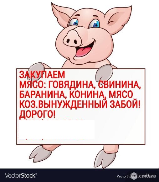 Фотография: Закупаю Говядину свинину конину баранину
