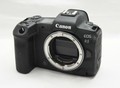 Фотография: Canon EOS R5 Mirrorless Camera, Canon 5D Mark IV