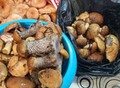 Фотография: Участок, Центр, Советская