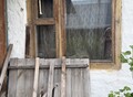 Фотография: Сад/дача, СНТ «Труженик» Зональный район, ул. Цветочная, 53