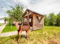 Фотография: Алтайский край, Зональный район, пос. Урожайный, ул.Садовая, СРОЧНО ПРОДАЕТСЯ ​ уютная