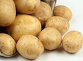 Фотография: Продам картофель