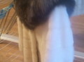 Фотография: Норковый белый полушубок с чернобуркой
