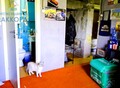 Фотография: Дом, Огородная