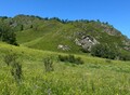 Фотография: Участок, Республика Алтай, Шебалинский район, село Мыюта