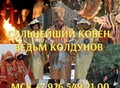 Фотография: Очень Сильный ( Шаманский Приворот ) с Ментальной 