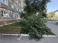 Фотография: 3 комн. Мартьянова