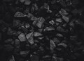 Фотография: Уголь ДПК Бийск сорт сеем от пыли доставка 