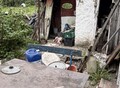 Фотография: Сад/дача, СНТ «Труженик» Зональный район, ул. Цветочная, 53