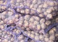 Фотография: Поставка алтайских овощей из современных картофеле